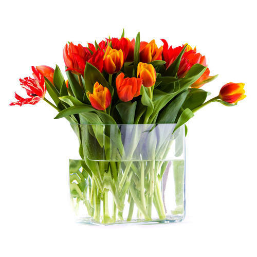 Glass Flower Pot