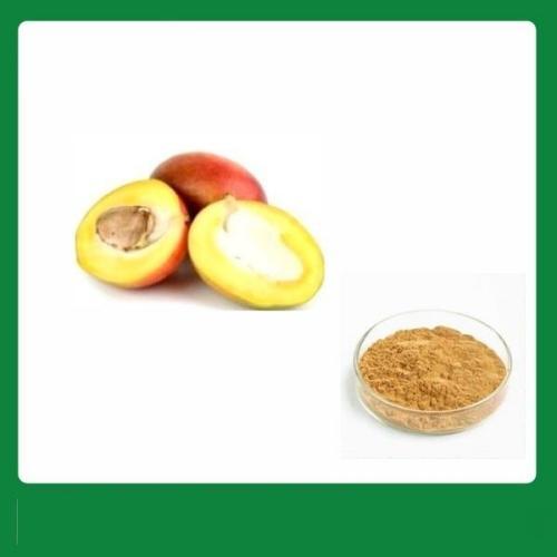Wild Mango Seed Extract