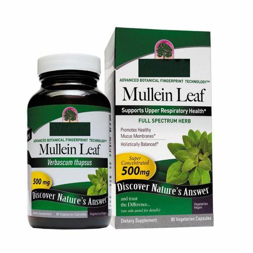 Mullein Leaf Extract