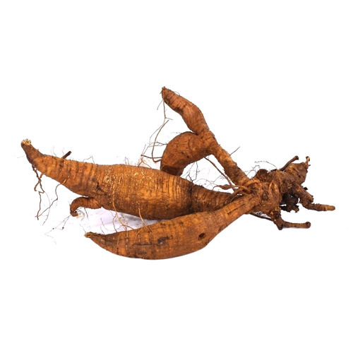 Kudzu Root Extract