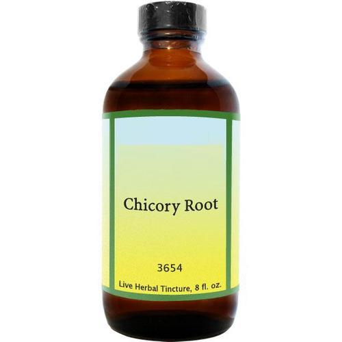 Chicory Extract