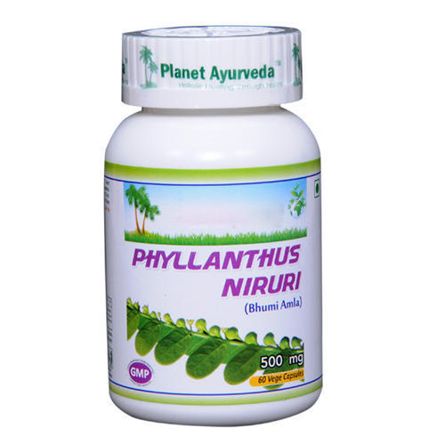 Phyllanthus Niruri Extract