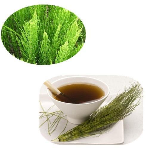 Horsetail Extract