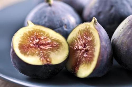 Fig Extract