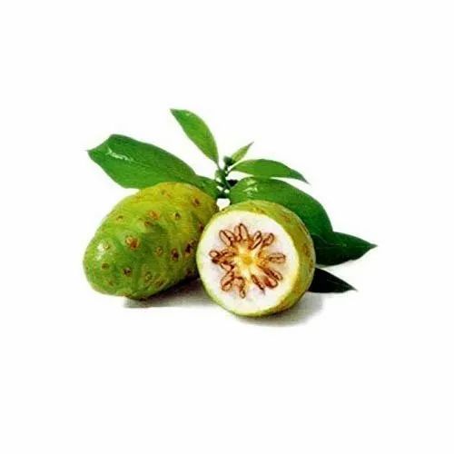 Noni Fruit Extract