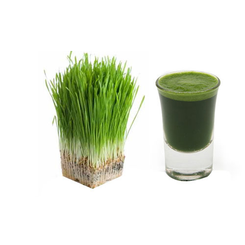 Wheatgrass Juice