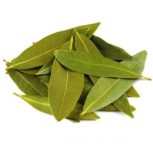 Bay Leaf