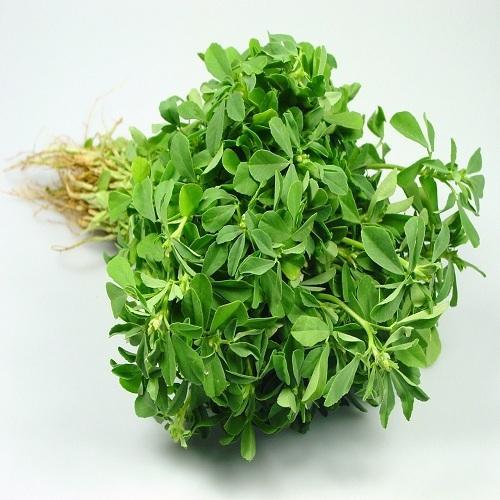 Fenugreek Leaf