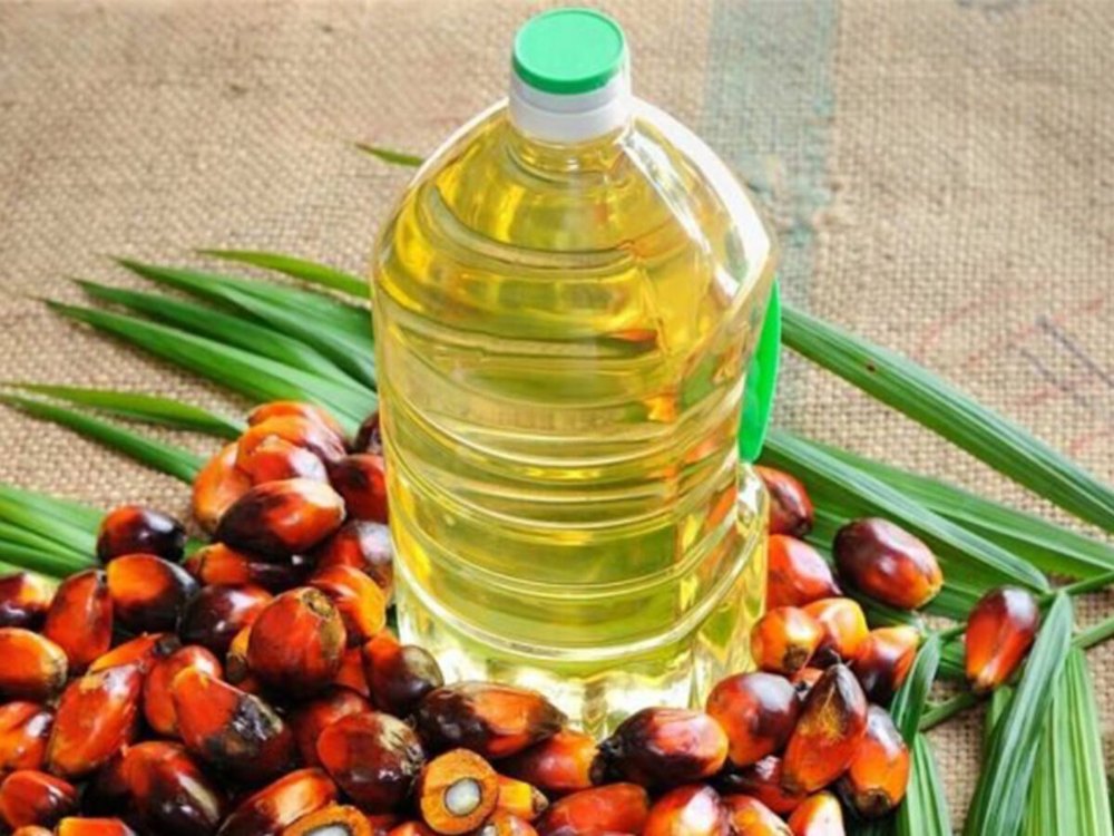 Mono Saturated RBD Palm Oil, Low Cholesterol