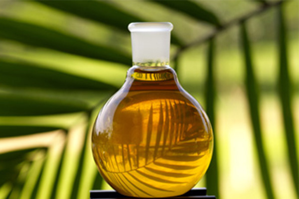 Palm Kernel Oil