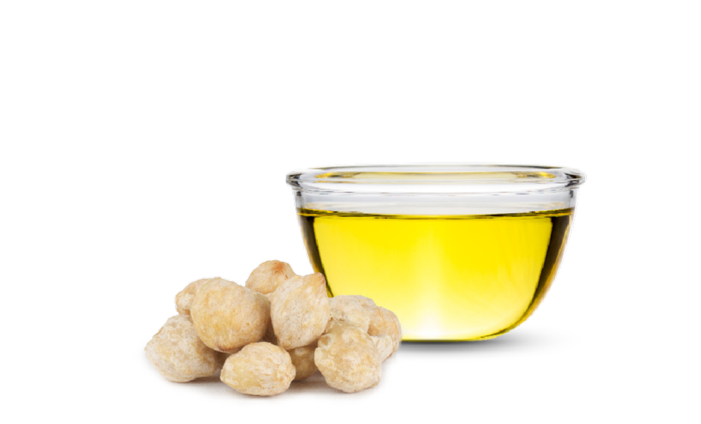 Kukui Nut Oil Virgin, For Aromatherapy