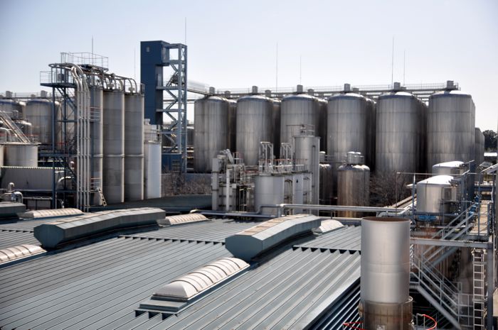 Beer Plant