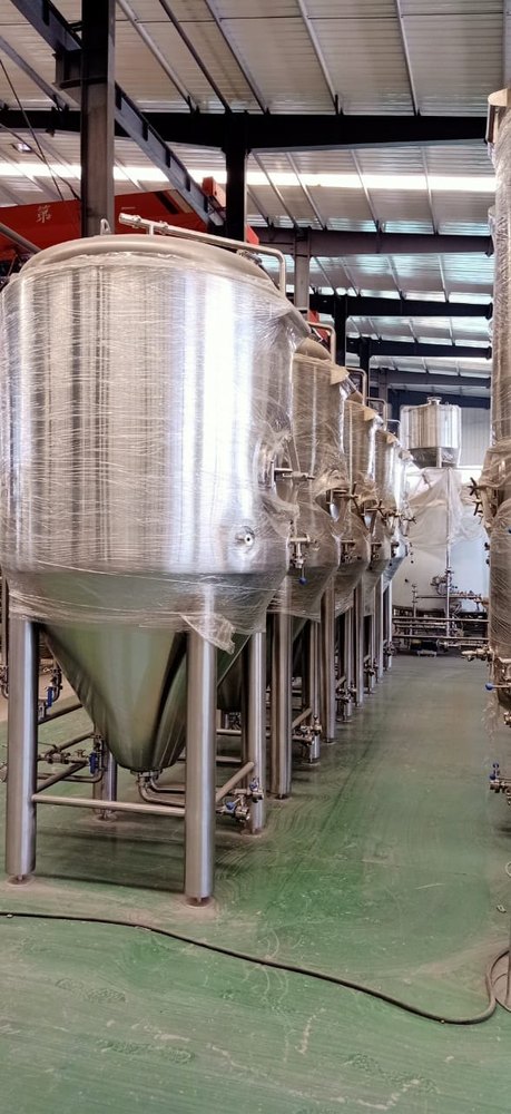 ss Fermentation Equipment, Approx, Capacity: 500 Lph