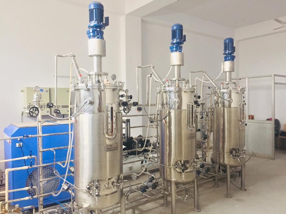 Industrial Scale Fermenter, Capacity: 250 Liter