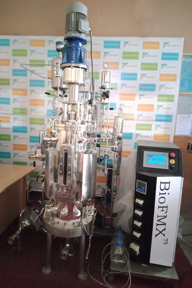 Pilot Scale In situ Fermenter Chandigarh - 50L to 750L, For Industrial