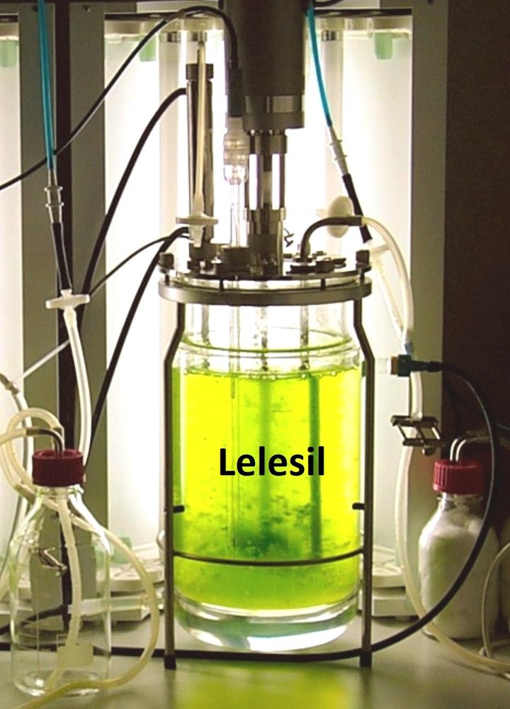Autoclavable Laboratory Fermentors