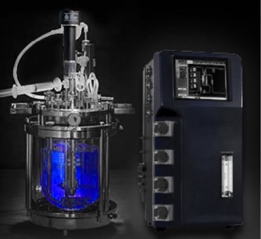 Gray Bio Reactor Fermenter, Capacity: 3L To 10L