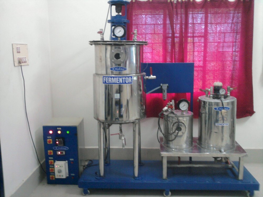 Stainless Steel Cylindrical Bioreactor, Capacity: <1 KL