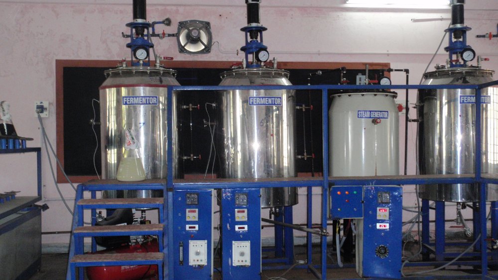 Stainless Steel Bioreactor Vessel, Capacity: 500-1000 L