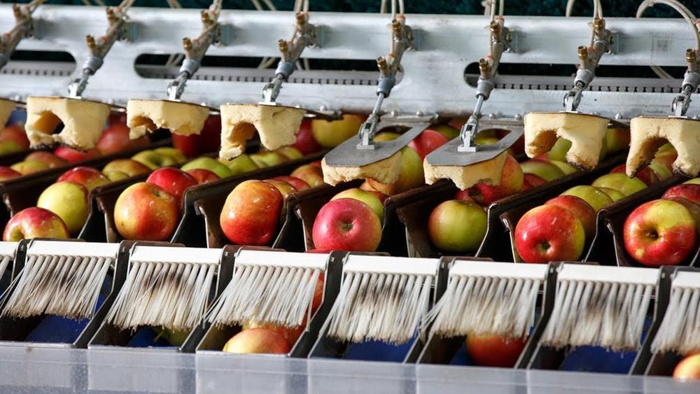 Apple Proceesing Equipment, 28 Hp, Capacity: 500 To 5000 Kg Per Hour