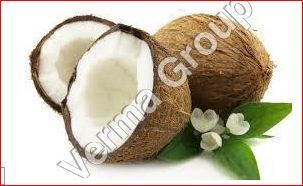 Coconut Carrier Oil