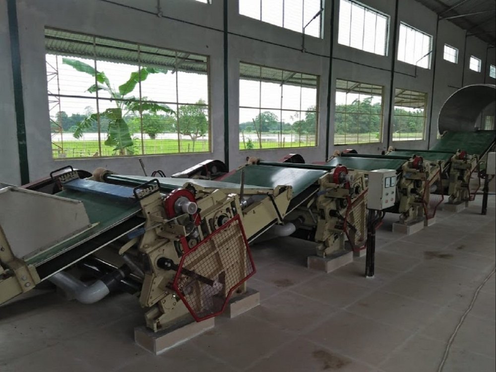 5 HP Mild Steel CTC Tea Processing Machinery, Capacity: 250 kg/Hour