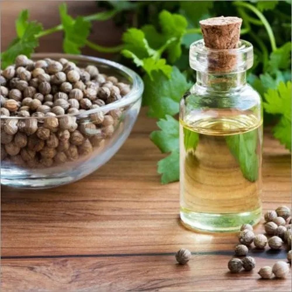 Coriander Oil