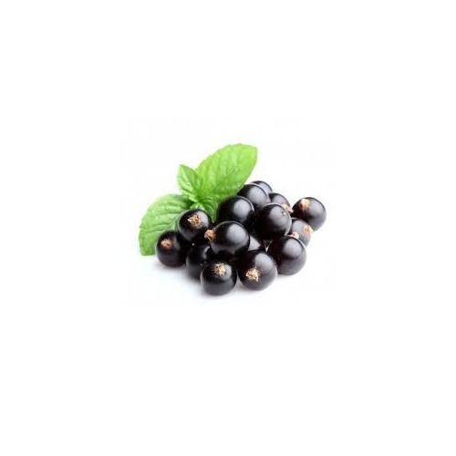 Blackcurrent Blackcurrant Flavour, Packaging Type: Fiber Drums And HDPE Drums, Liquid