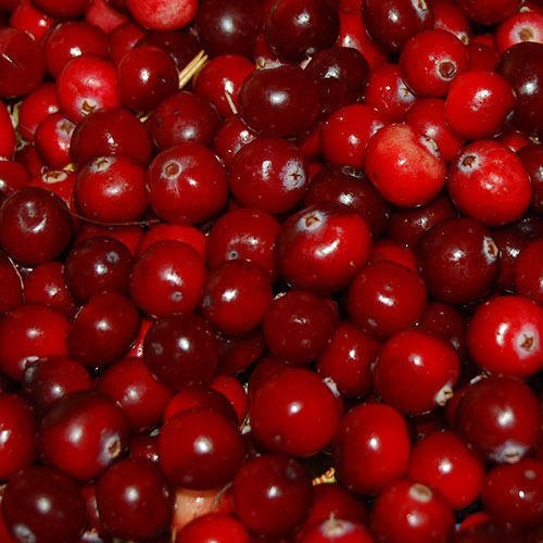 Red Cranberry Flavour, For Food Flavor, Packaging Type: Box