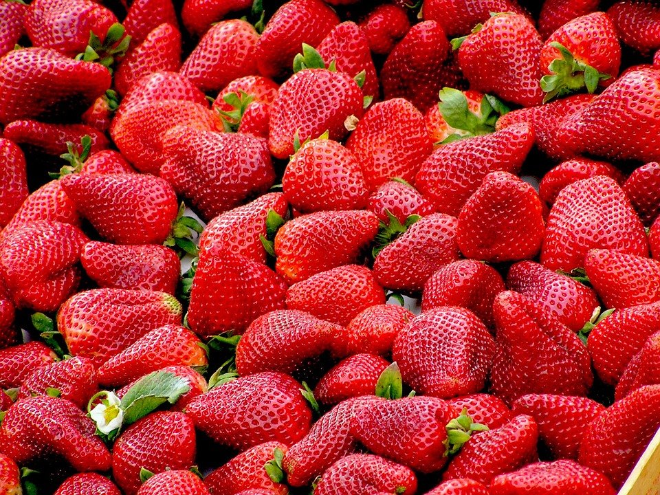 Red Strawberry Powder Flavour, Packaging Type: Bucket, Packaging Size: 25 Kg