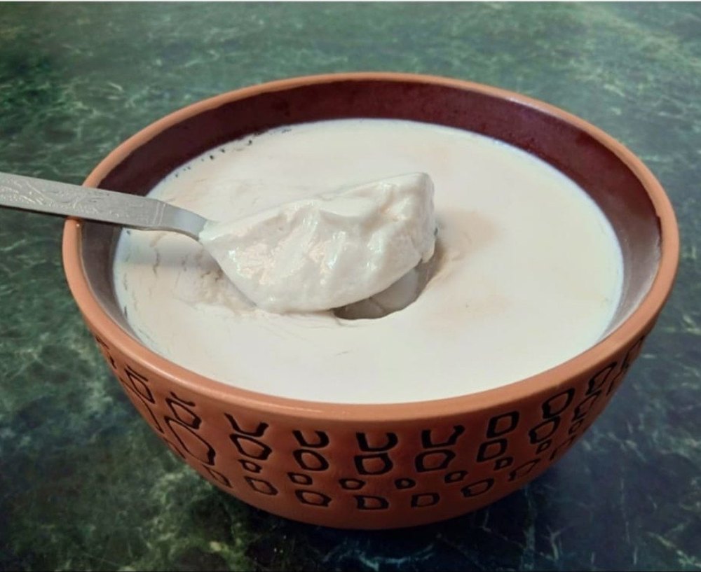 50L Biocelx Curd Culture