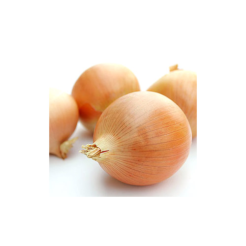 Soluble Onion Oleoresin