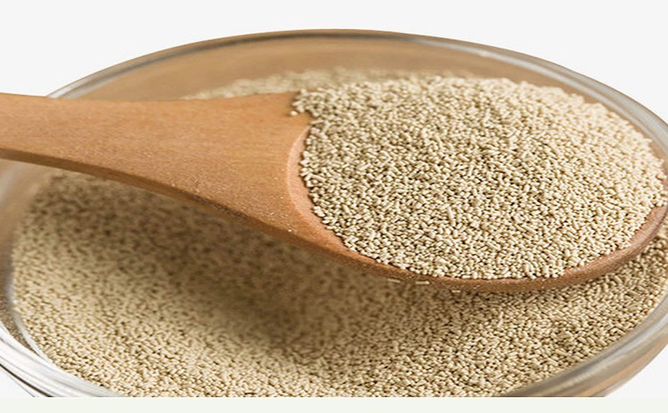 Bioven Ingredients Yeast (Saccharomyces Cerevisiae)