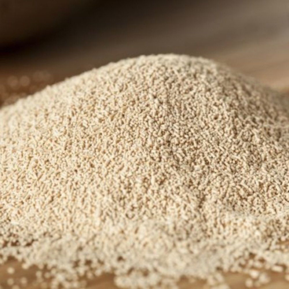 Active Dry Yeast