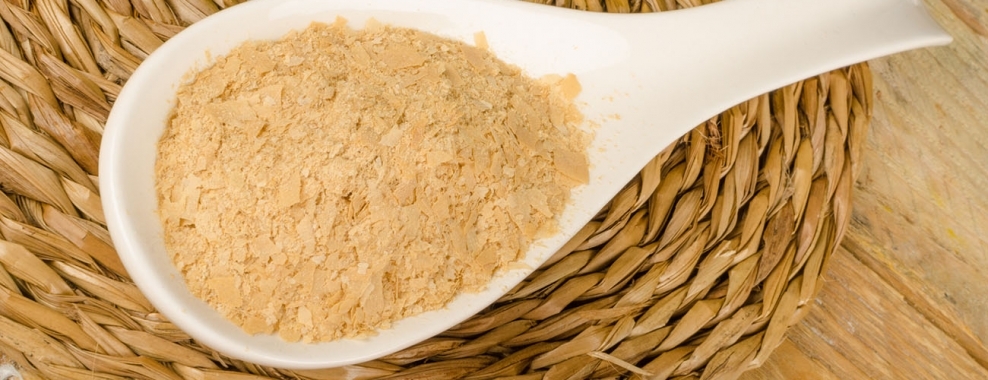 Brewer Yeast Protein