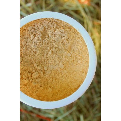 Brewers Yeast Powder