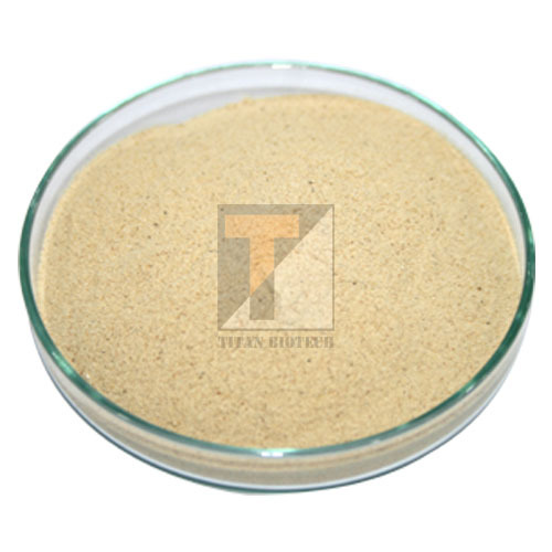 Brewer\'\'s Yeast Protein, Titan Biotech Limited, Packaging Size: Regular