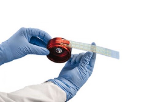 Agar Strips