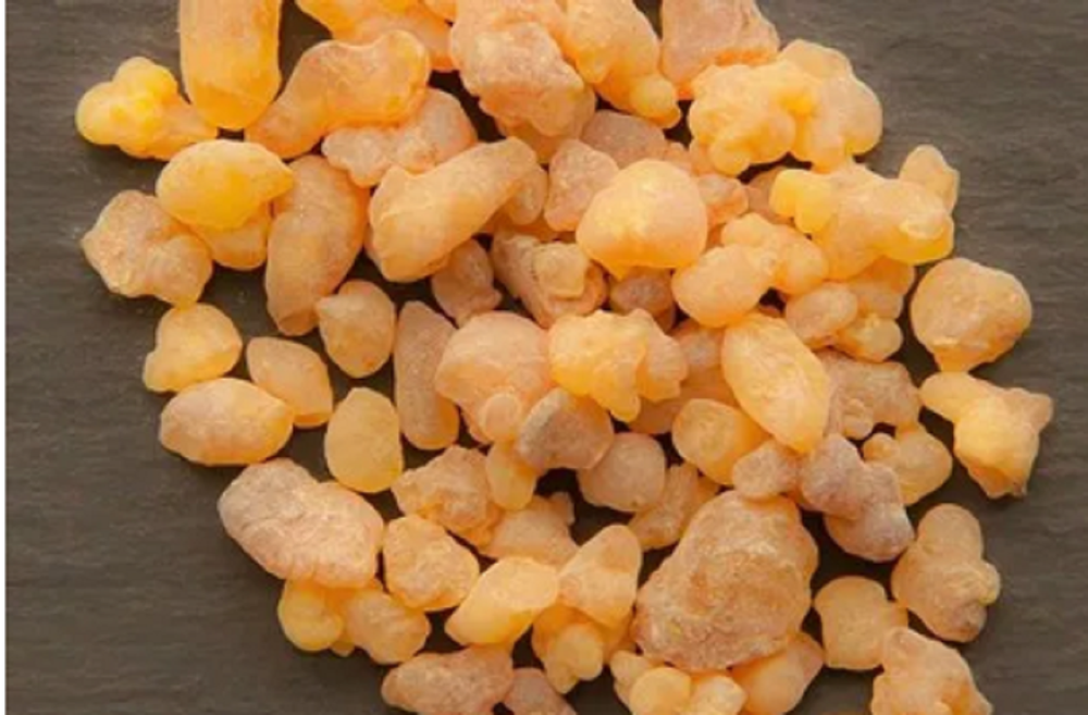 Solid Boswellia Serrata Gum Resin, For Personal, Packaging Type: Loose
