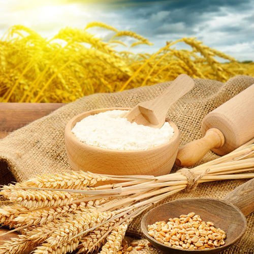 Native Wheat Starch, For Food