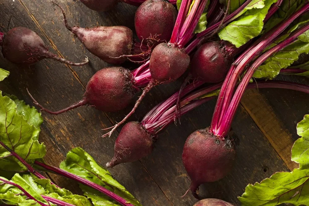 Liquid Red Beet Root Color