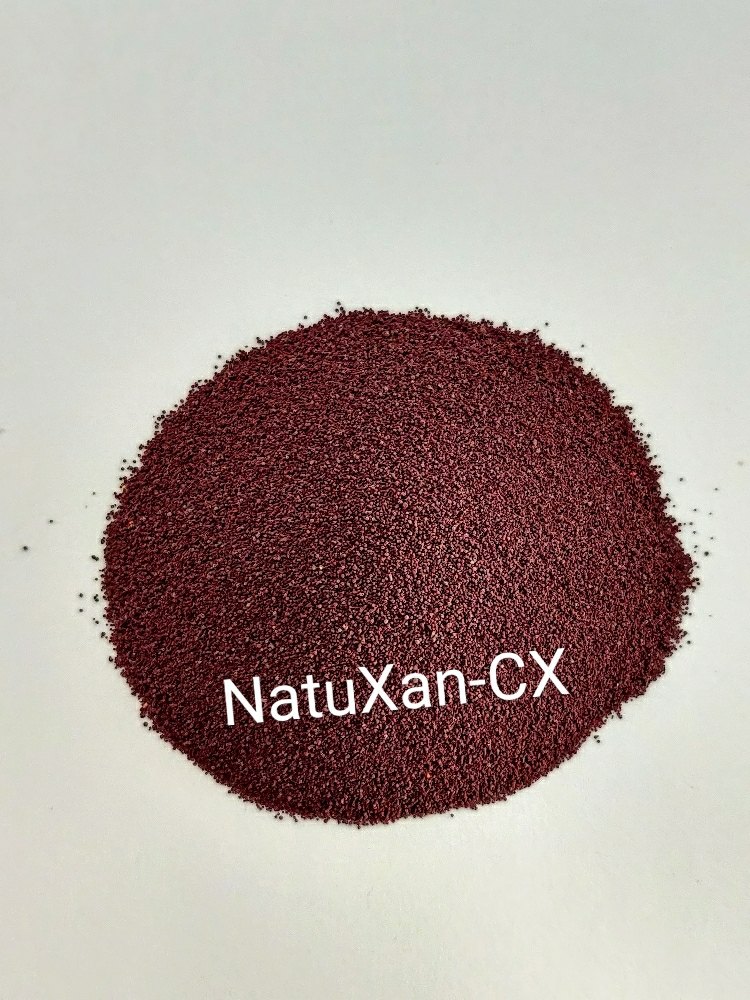 Powder Red Canthaxanthin, Packaging Type: Bag, Packaging Size: 5kgs