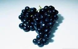 Black Currant Flavor