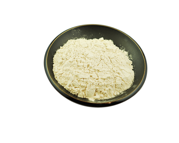 Powder Guar Gum