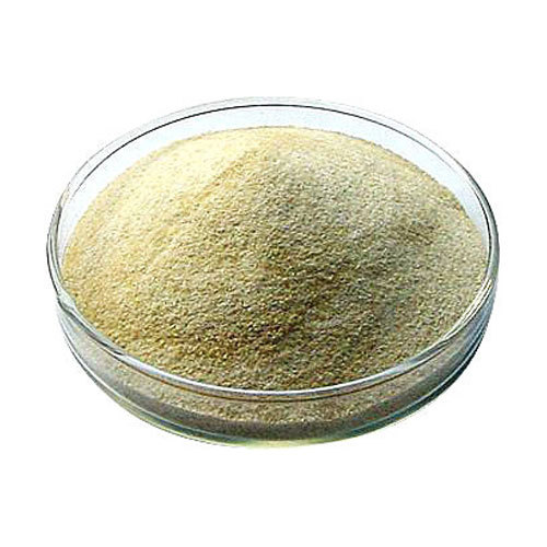 Sodium Alginate Powder, 25 & 50 Kg