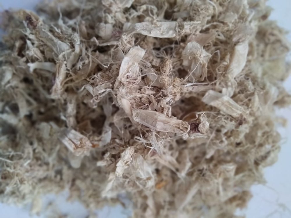 Chitin - Flakes & Powder, Packaging Size: 25 Kg