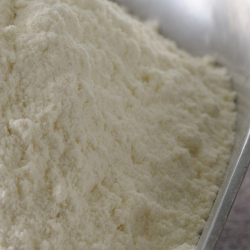 Angel Oxidised Starch Powder, Packaging Type: PP Bags