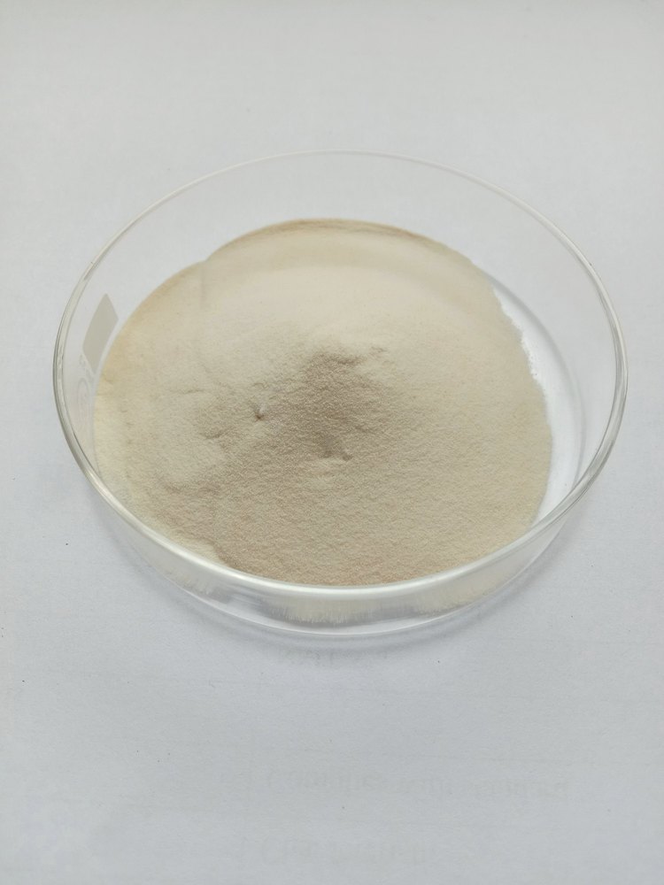 White Apple Cider Vinegar Powder (Malus pumila Mill), For Cooking, 25Kg Drums