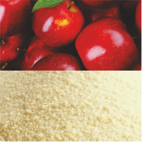 Spray Dried Apple Cider Vinegar Powder