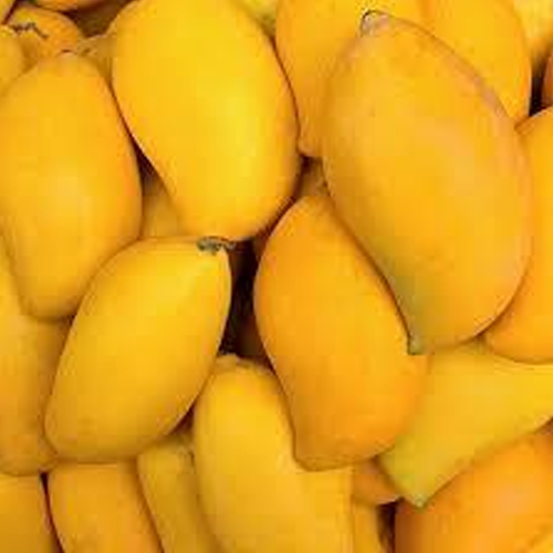 Mango Confectionery Flavor, Liquid, Packaging Size: 1 Kg To 25kg